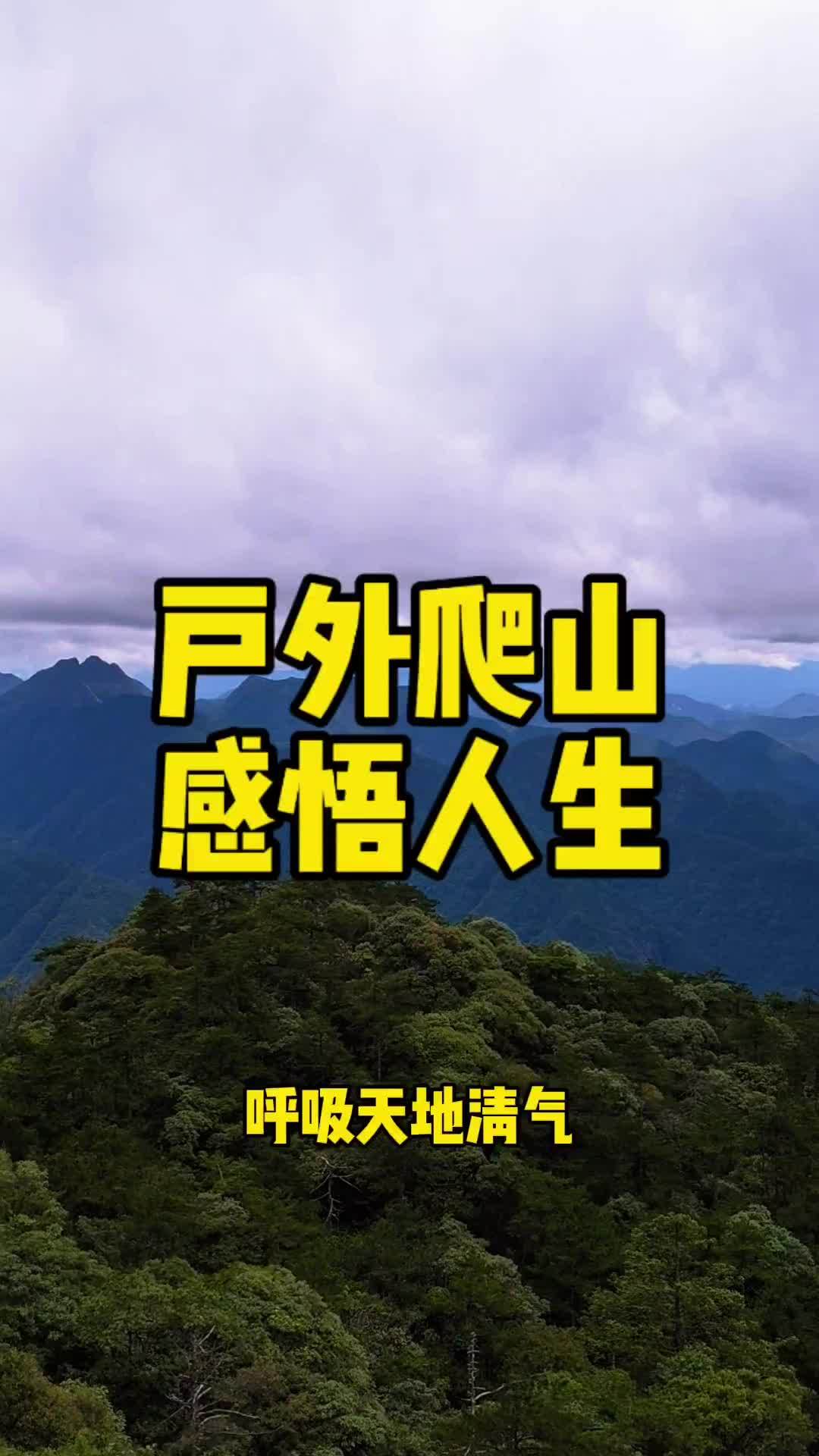 看点 第2页